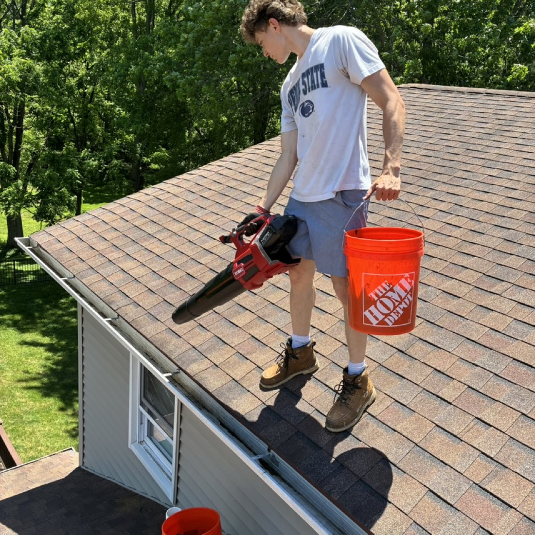 Roofline clearing — Bucks County
