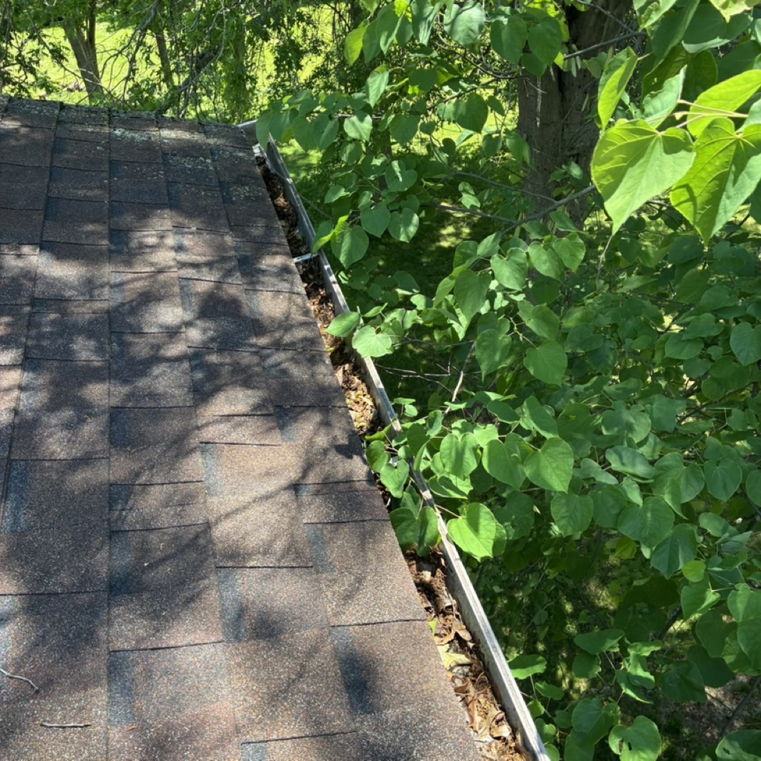 Intake — gutter at arrival